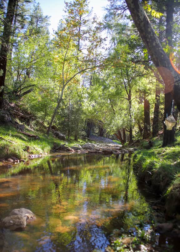 Hidden Creek Cottage