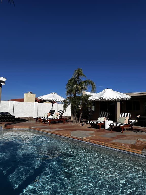 Calming Cactus